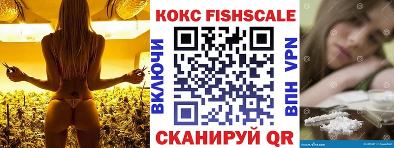 КОКАИН Fish Scale Старица