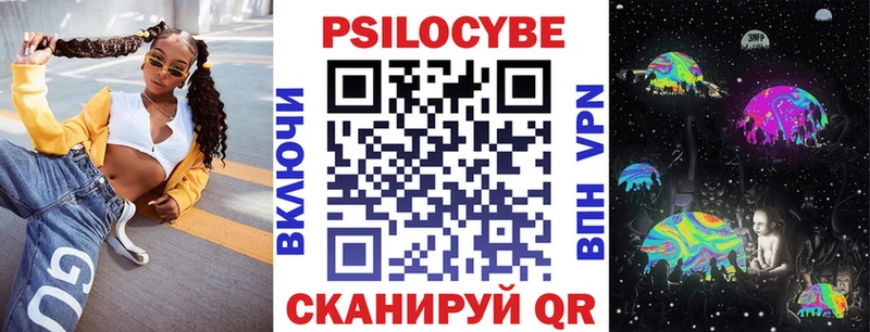 закладка  Старица  Псилоцибиновые грибы Psilocybe 
